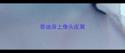 泰迪身上像头皮屑