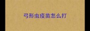 弓形虫疫苗怎么打