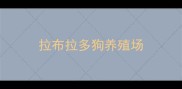 拉布拉多狗养殖场