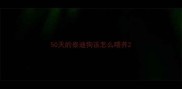 50天的泰迪狗该怎么喂养