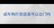 成年狗打完疫苗可以出门吗