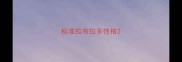 标准拉布拉多性格