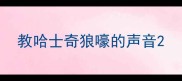 教哈士奇狼嚎的声音