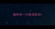 猫咪有一只眼流眼泪