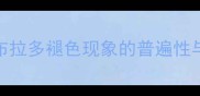 黑拉布拉多褪色现象的普遍性与特征