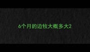 6个月的边牧大概多大