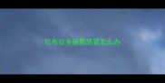 拉布拉多肠胃感冒怎么办