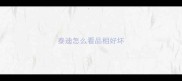 泰迪怎么看品相好坏
