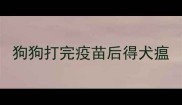狗狗打完疫苗后得犬瘟