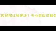 金毛犬疫苗注射后出现局部红肿硬块专业兽医详解处理流程与预防策略