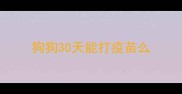 狗狗30天能打疫苗么