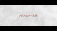小狗身上痒有皮屑