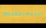 狗狗流鼻涕不好怎么办