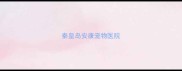 秦皇岛安康宠物医院