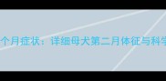 狗狗怀孕两个月症状详细母犬第二月体征与科学护理指南