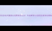 拉布拉多幼犬腹部出现黑斑怎么办专业解答5大原因及紧急处理指南