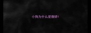 小狗为什么爱撒娇
