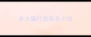 多大猫打疫苗多少钱