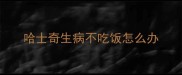哈士奇生病不吃饭怎么办