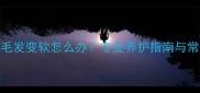 拉布拉多毛发变软怎么办专业养护指南与常见误区全
