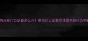 狗狗总在门口趴着怎么办资深训犬师教你读懂它的行为密码