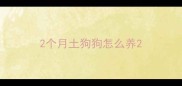 2个月土狗狗怎么养