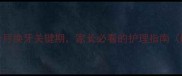 狗狗换牙期全攻略3-8个月换牙关键期家长必看的护理指南附症状识别与营养方案