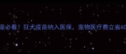 上海养宠必看狂犬疫苗纳入医保宠物医疗费立省60攻略