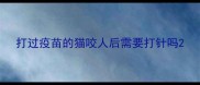 打过疫苗的猫咬人后需要打针吗