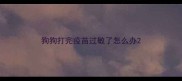 狗狗打完疫苗过敏了怎么办