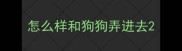 怎么样和狗狗弄进去