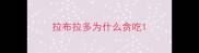 拉布拉多为什么贪吃