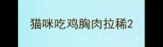 猫咪吃鸡胸肉拉稀