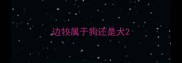 边牧属于狗还是犬
