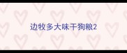 边牧多大味干狗粮