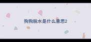 狗狗脱水是什么意思