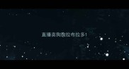直播卖狗狗拉布拉多