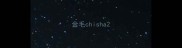 金毛chisha