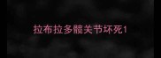 拉布拉多髋关节坏死