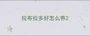 拉布拉多好怎么养