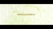 狗狗的疫苗到哪里买