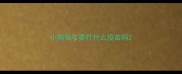 小狗每年要打什么疫苗吗