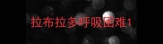 拉布拉多呼吸困难
