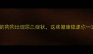 未接种疫苗的狗狗出现尿血症状这些健康隐患你一定要知道