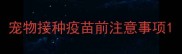 宠物接种疫苗前注意事项