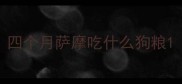 四个月萨摩吃什么狗粮