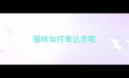猫咪如何表达亲昵