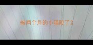 被两个月的小猫咬了