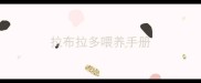 拉布拉多喂养手册