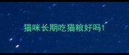 猫咪长期吃猫粮好吗